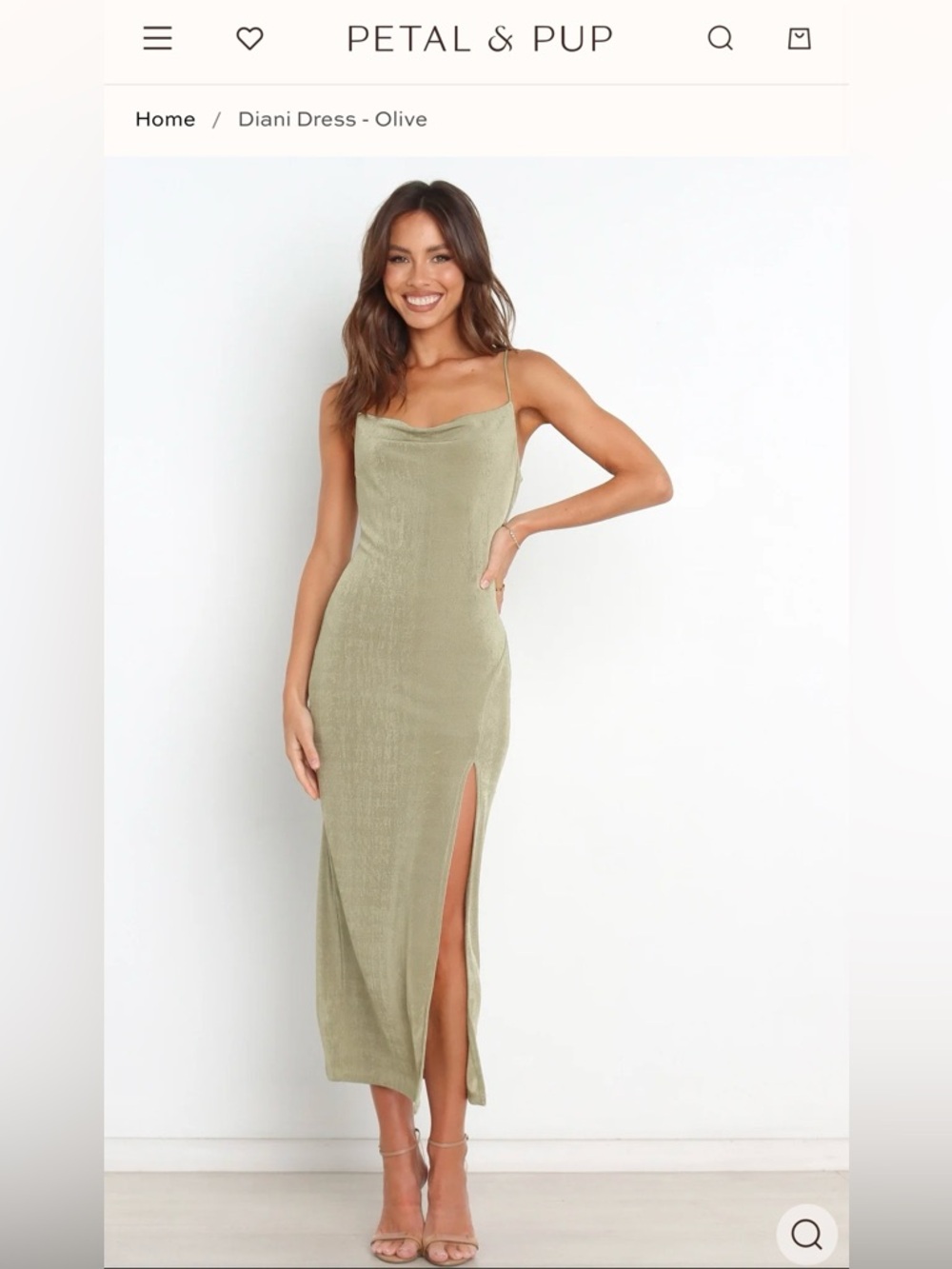 Petal & Pup Dress